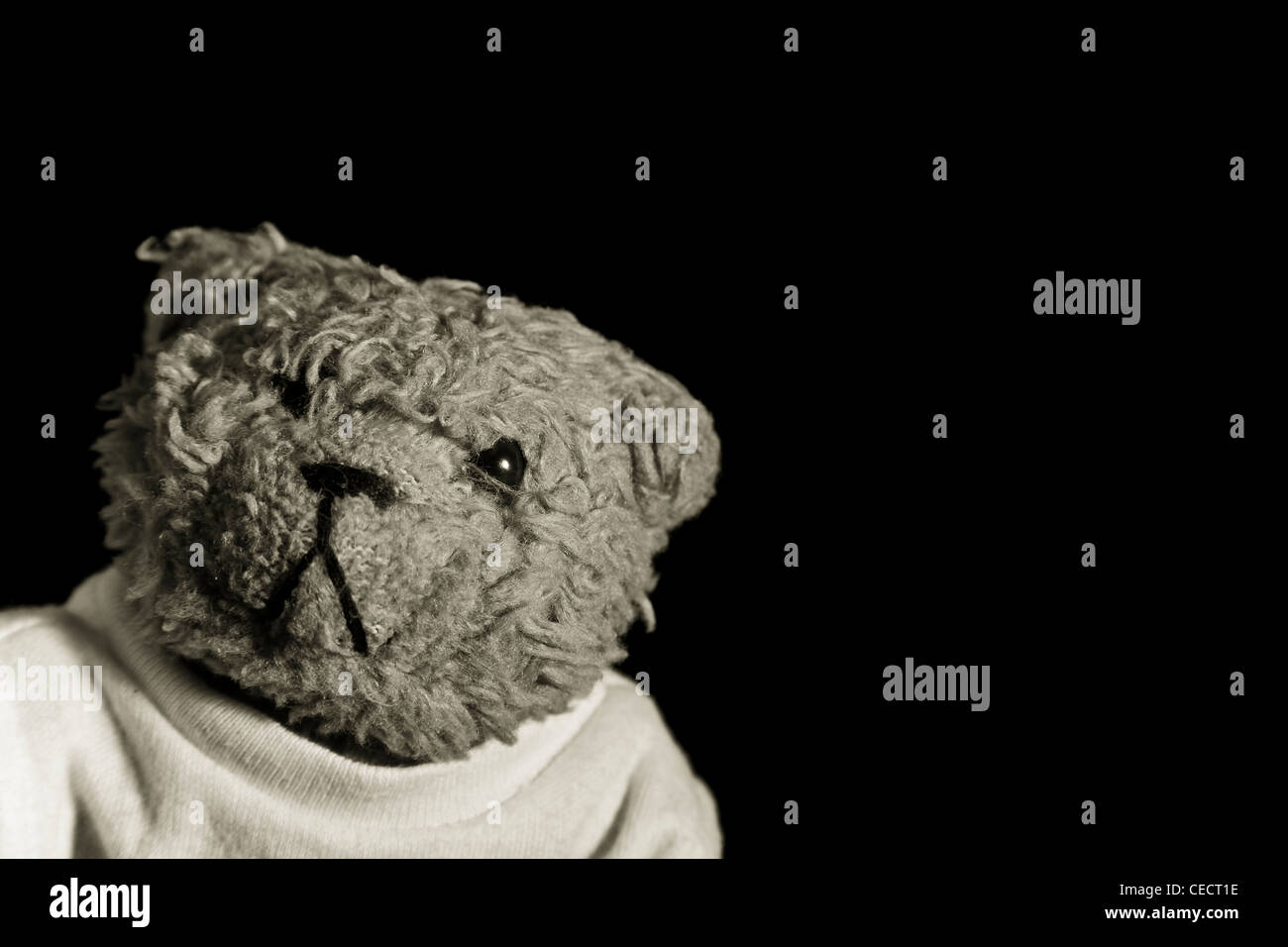 Back and white photograph of Beni, a teddy bear Stock Photo
