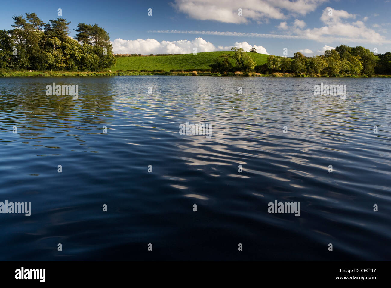 View across the water of Carlingwark Loch towards the lush green grassy bank and trees opposite. Stock Photo