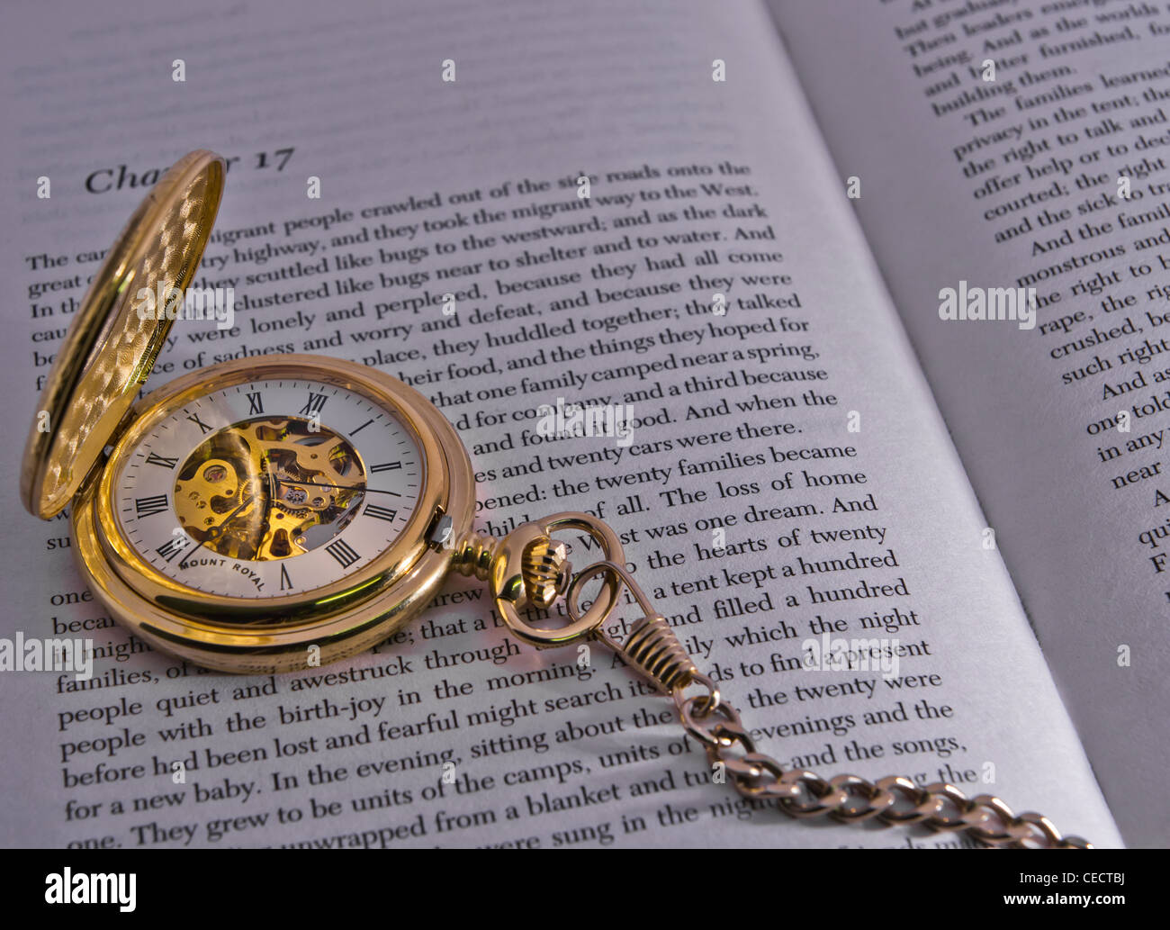 gold skeleton half face pocket watch on pages of a book Stock Photo