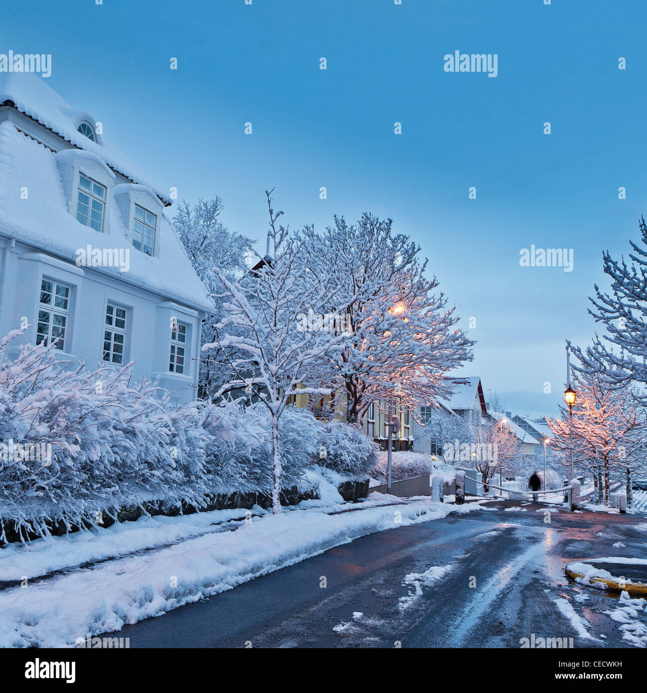 Snowy landscape after winter storm, Iceland Stock Photo - Alamy