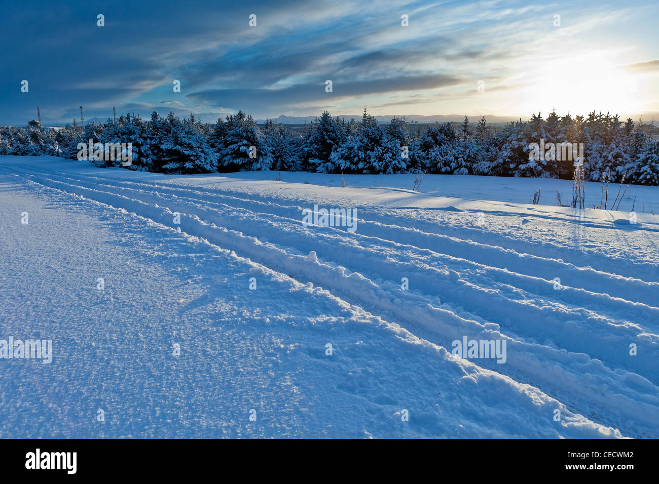 Snowy landscape after winter storm, Iceland Stock Photo Alamy