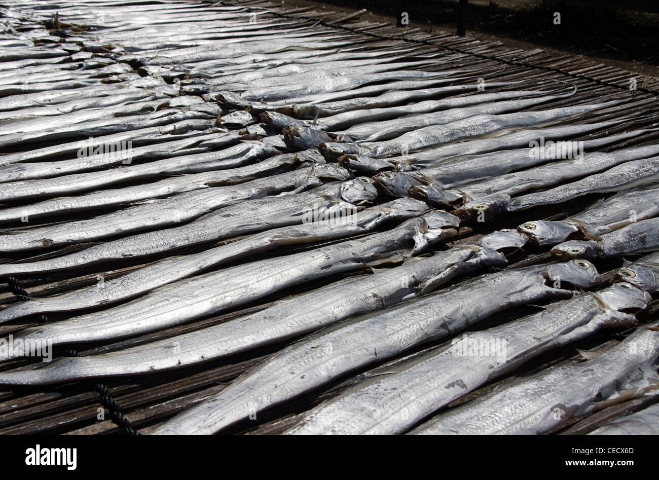 Malaysia dried fish hires stock photography and images Alamy