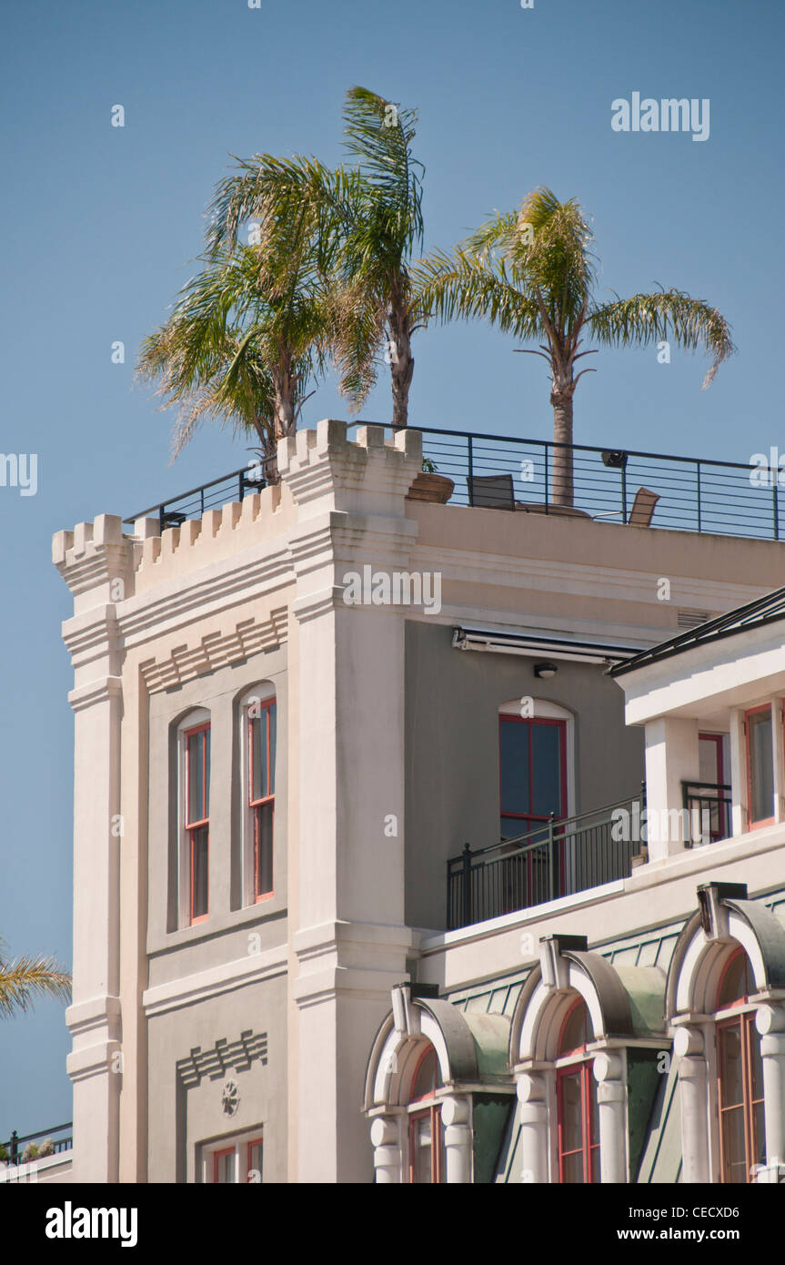 Palm-trees on a rooftop belonging to a condominium on Mississippi riverfront in New Orleans Stock Photo
