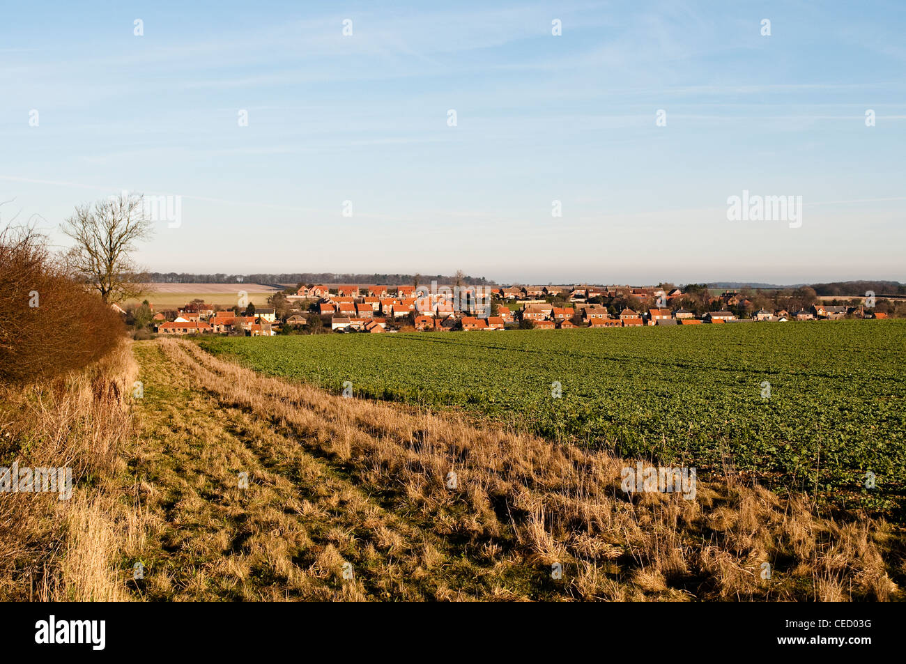 Rooftops of Sedgeford and agricultural field in the foreground, Norfolk, England, UK Stock Photo