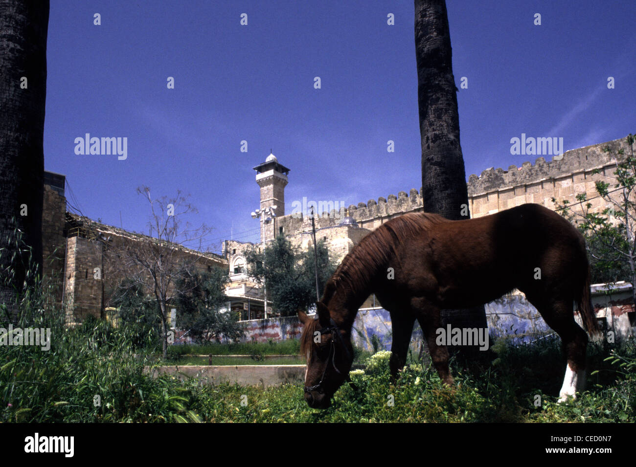 Abraham stands hi-res stock photography and images - Alamy