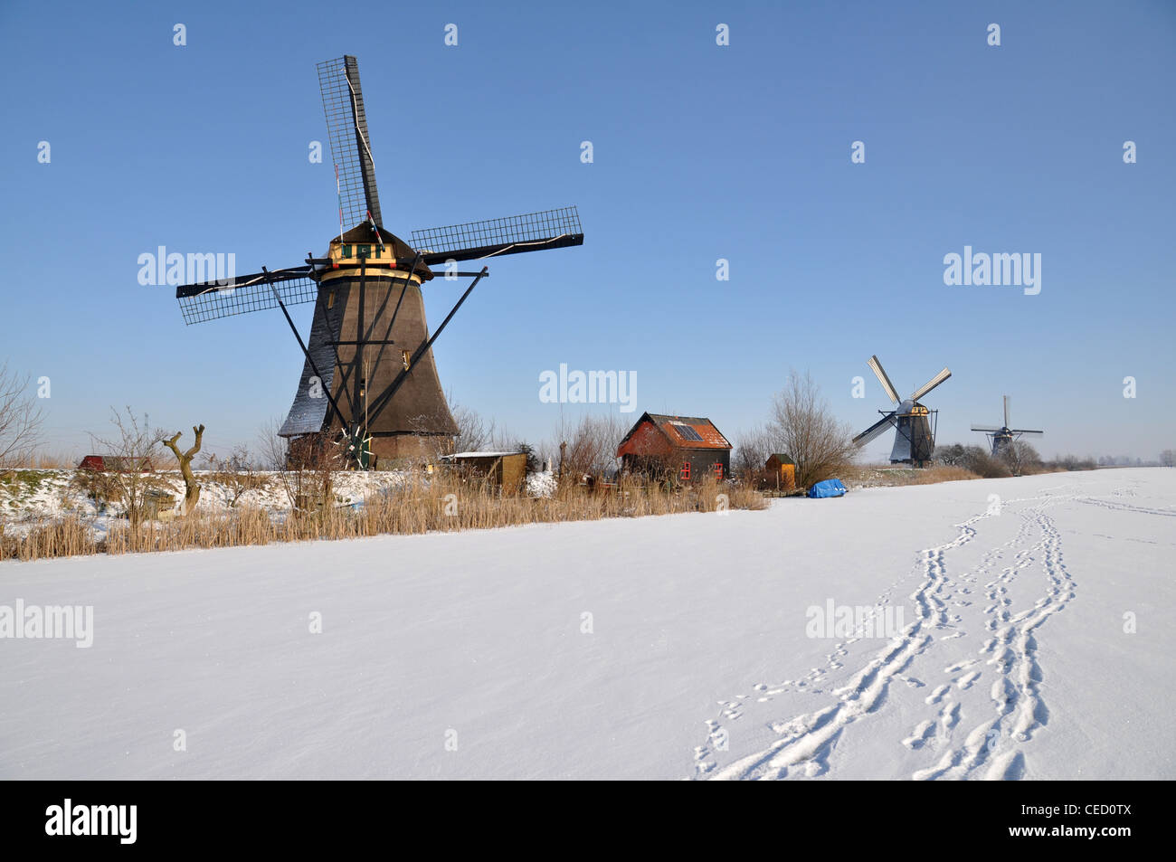 Dutch windmills in winter, Kinderdijk, Netherlands, Europe Stock Photo
