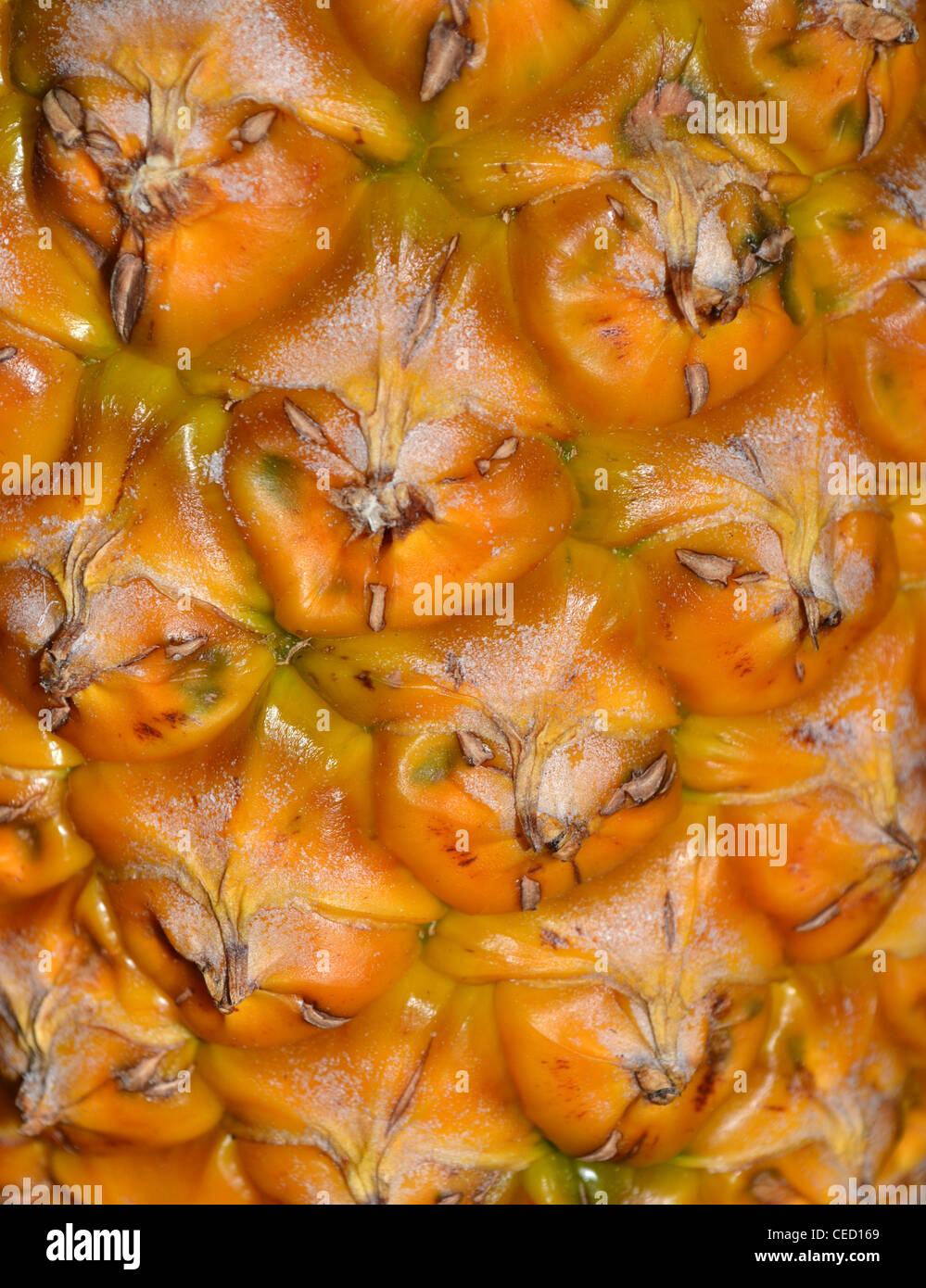 Close up pineapple skin hires stock photography and images Alamy