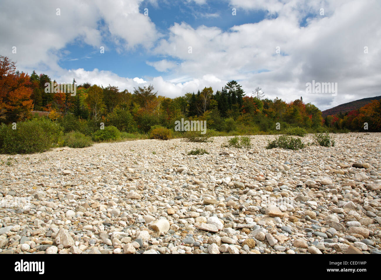 Ammonoosuc River in Carroll, New Hampshire USA during the autumn months