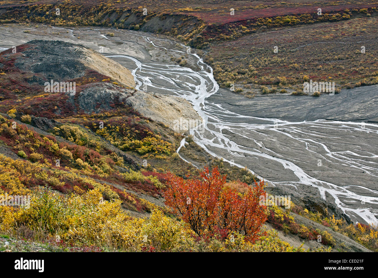 Toklat river hires stock photography and images Alamy