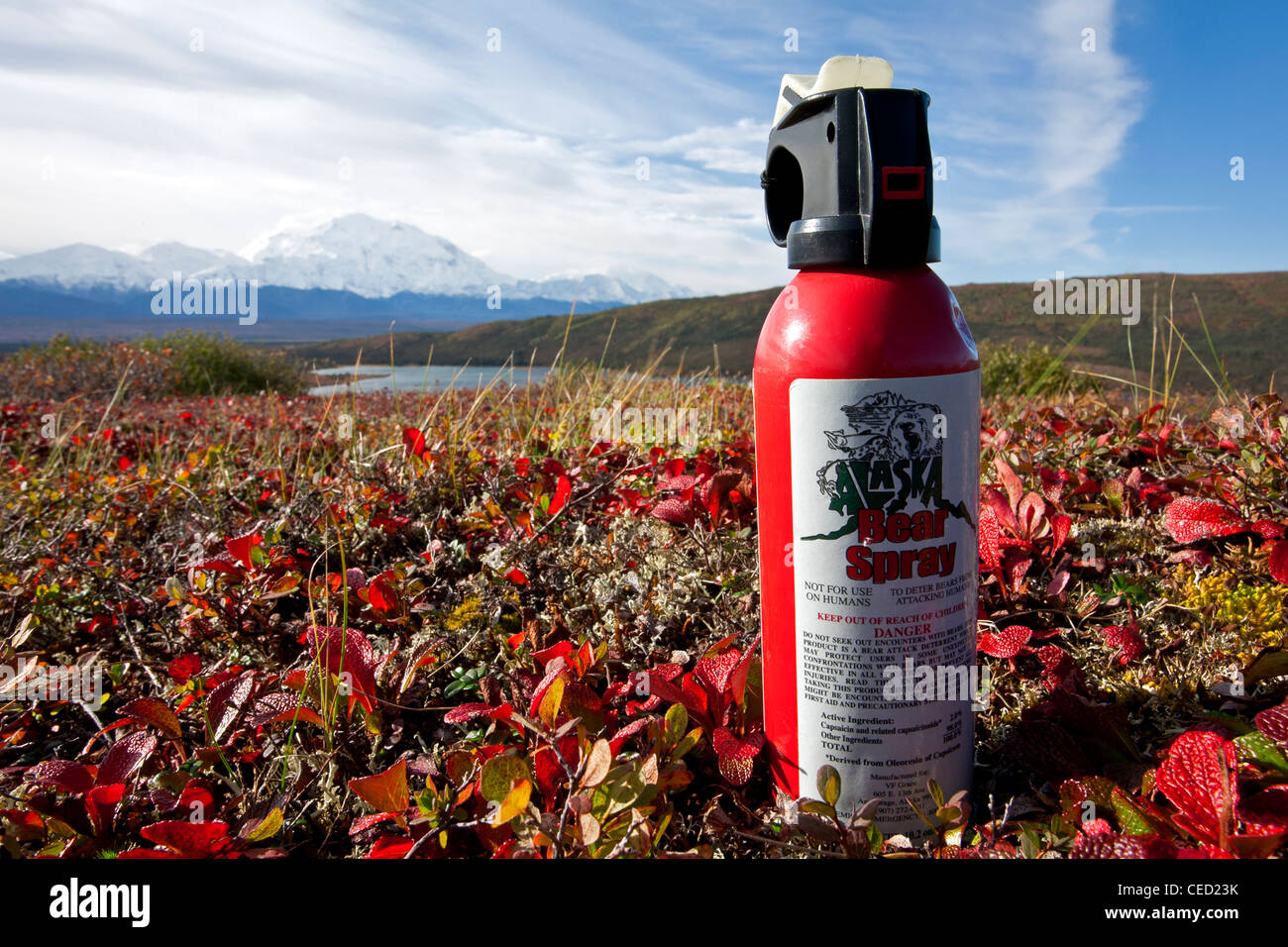 Bear spray. Denali National Park. Alaska. USA Stock Photo Alamy