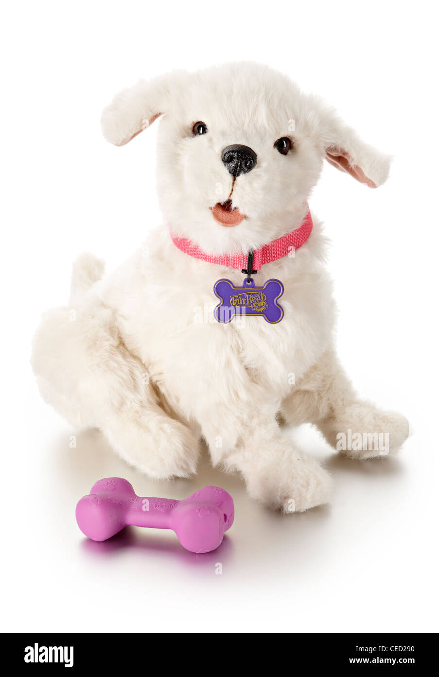 White furred dog soft toy Stock Photo