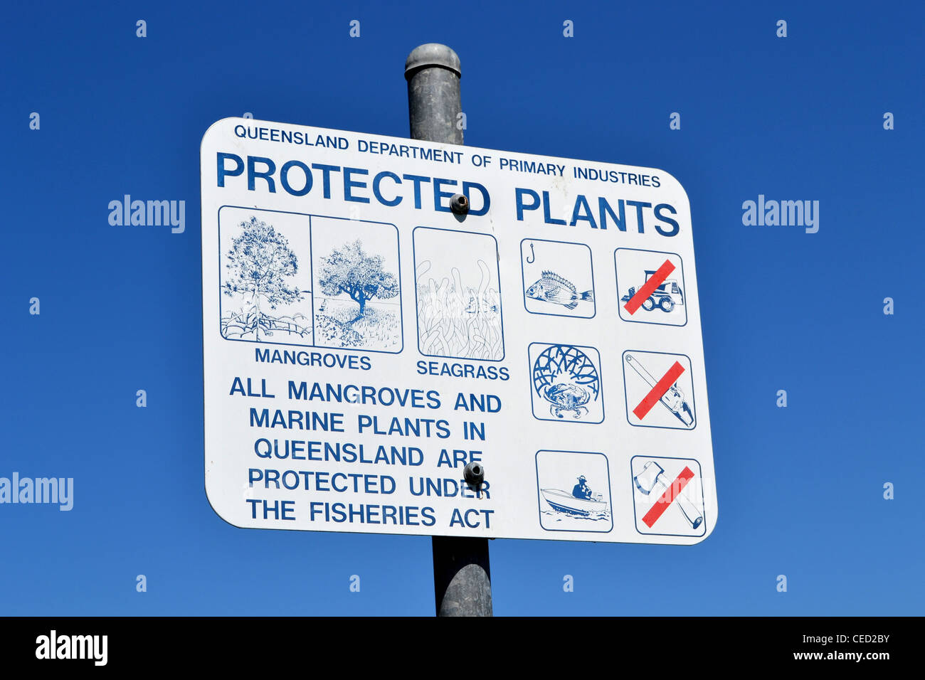 A sign saying " All Mangroves and Marine plants in Queensland are protected under the fisheries act" Stock Photo