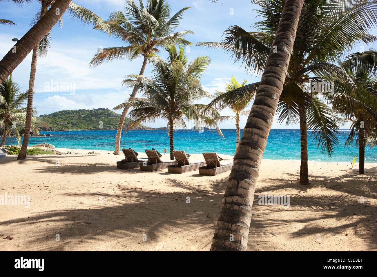 Island paradise beach private exclusive Mustique Caribbean palm trees secluded no people sky sand sea deserted sunny sunshine ocean hammock blue Stock Photo