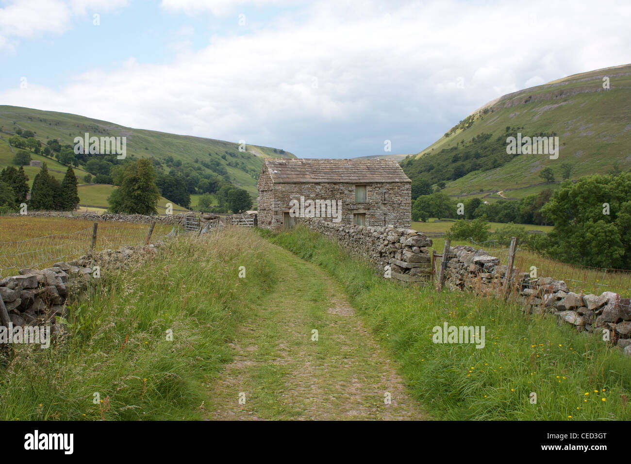 Typical stone barn above Muker, Swaledale North Yorkshire, England