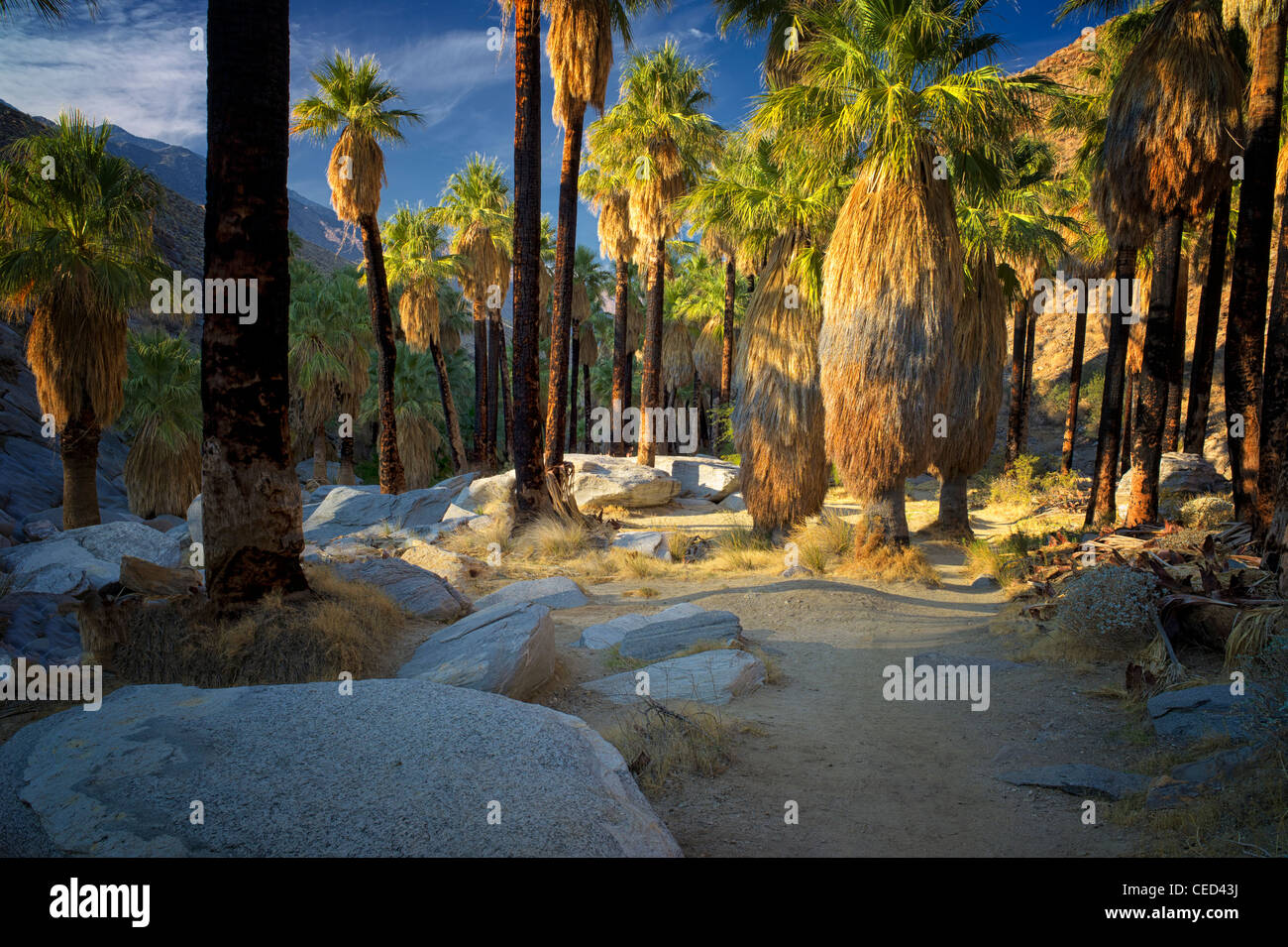 Indian springs hires stock photography and images Alamy