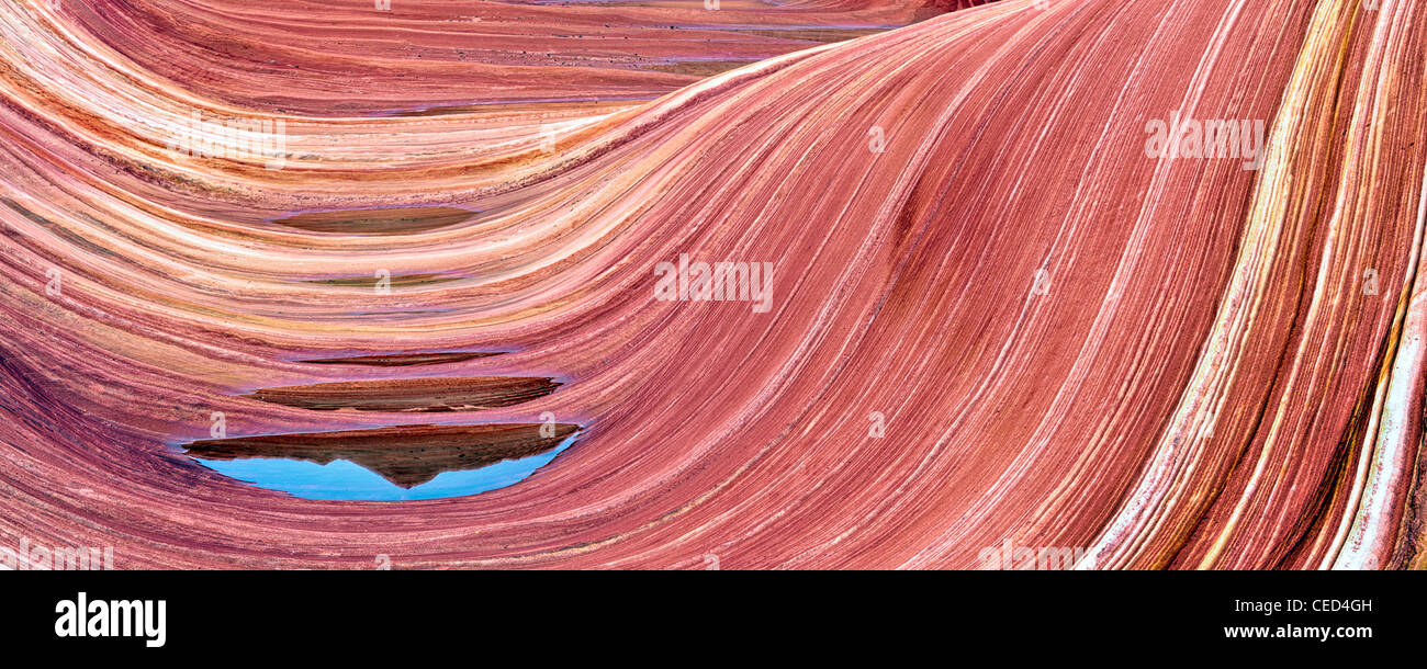 Sandtone formation and pool of water in North Coyote Buttes, The Wave. Paria Canyon Vermillion Cliffs Wilderness. Utah/Arizona Stock Photo