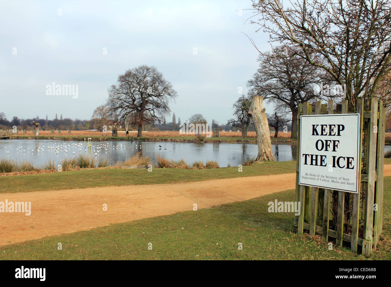 Keep off the ice - The Heron Pond frozen in winter. Bushy Park Hampton SW London England UK Stock Photo