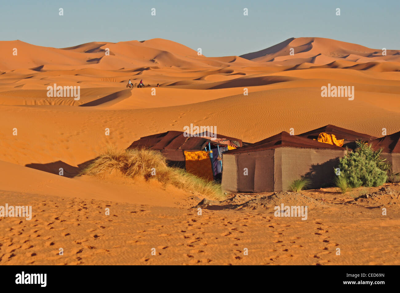 NORTH AFRICA, MOROCCO, Erfoud, Erg Chebbi, edge of the Sahara Desert