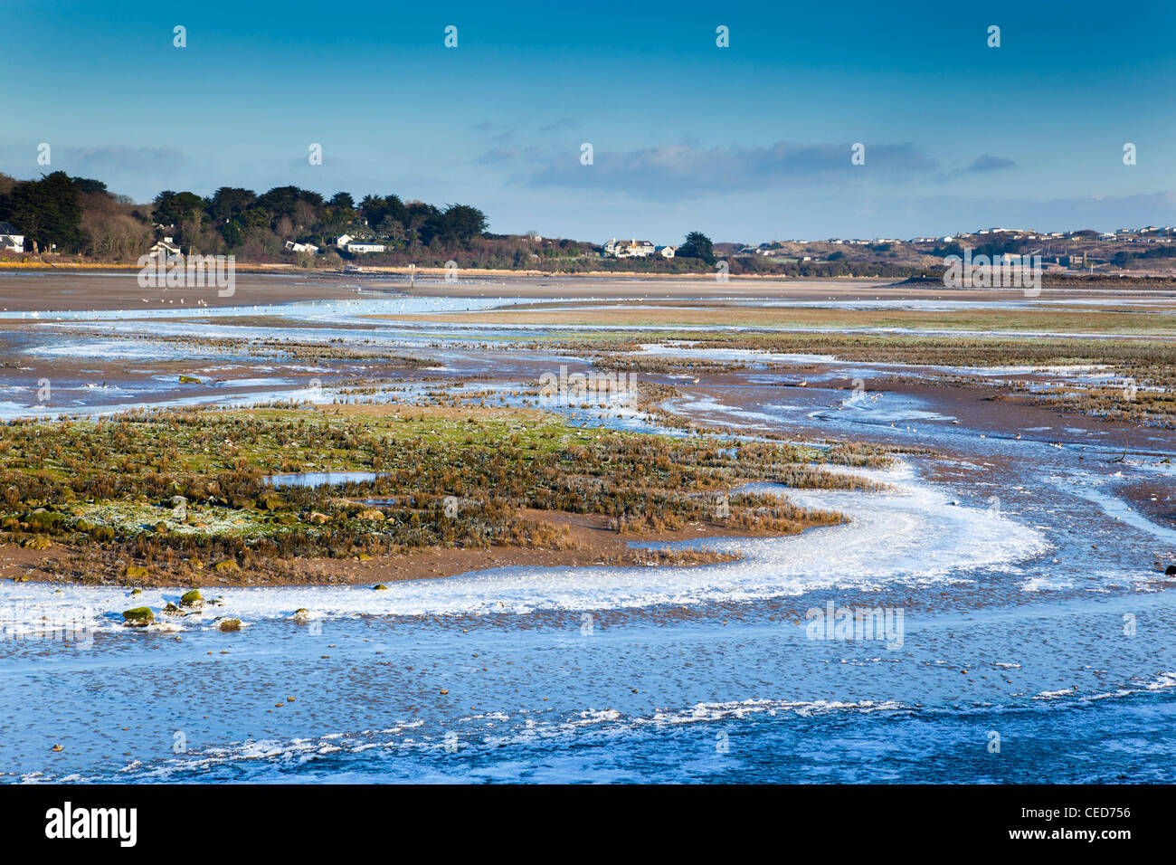 Hayle Estuary; low tide; frost in winter; Cornwall; UK Stock Photo