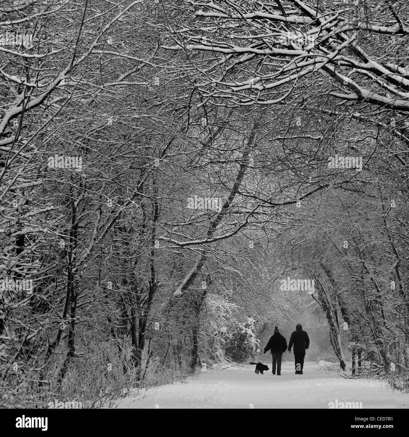 Couple and their dog having a winter walk in the snow Market Weighton Railway line Stock Photo