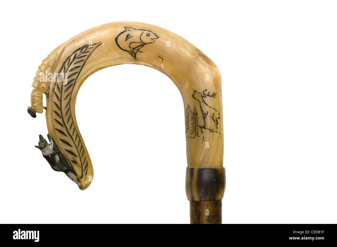 Shepherds crook hi-res stock photography and images - Alamy