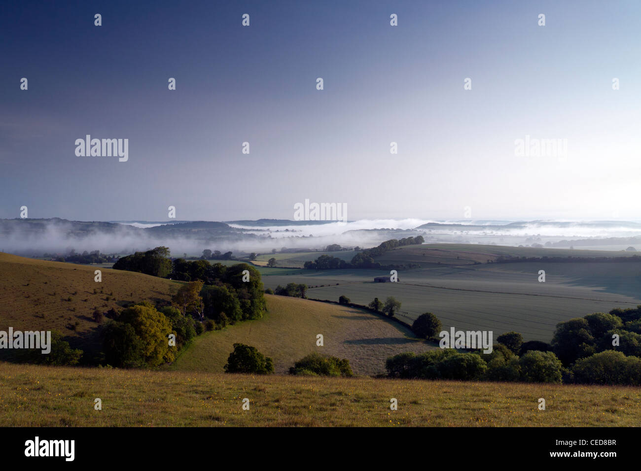 Early morning mist photographed on a mid-summer morning from Charlton Down in Wiltshire. Stock Photo