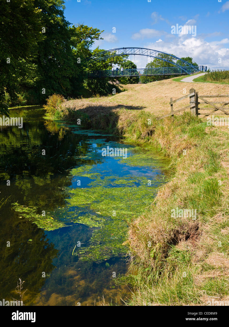 The River Yeo at Congresbury, North Somerset, England Stock Photo