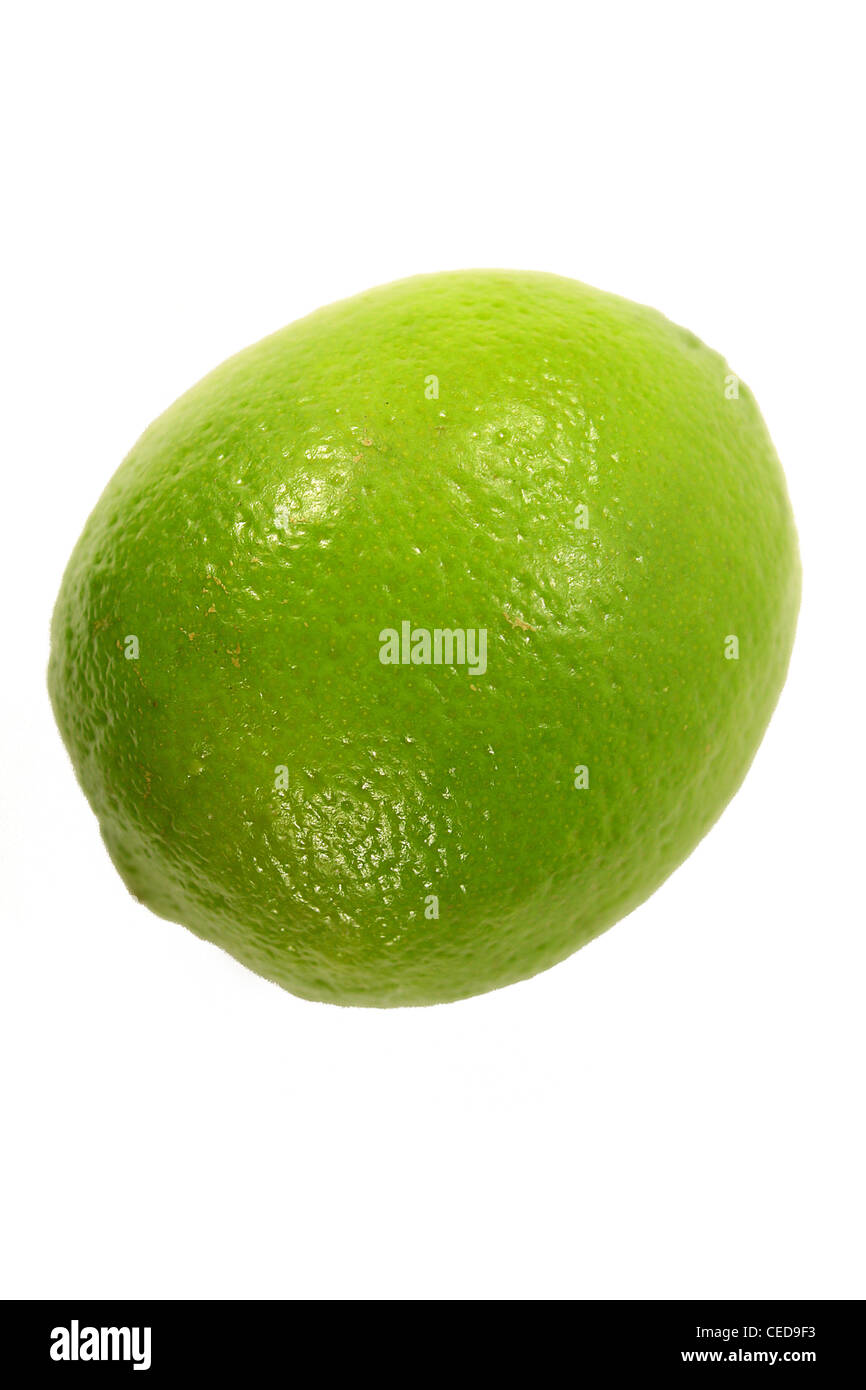 Lime on white background Stock Photo Alamy