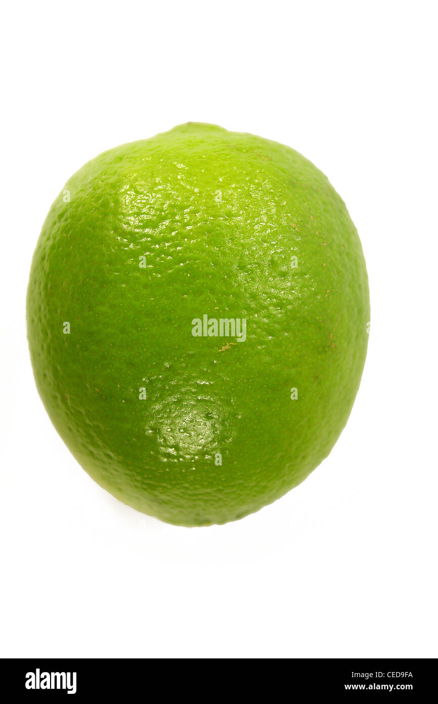 Lime on white background Stock Photo Alamy