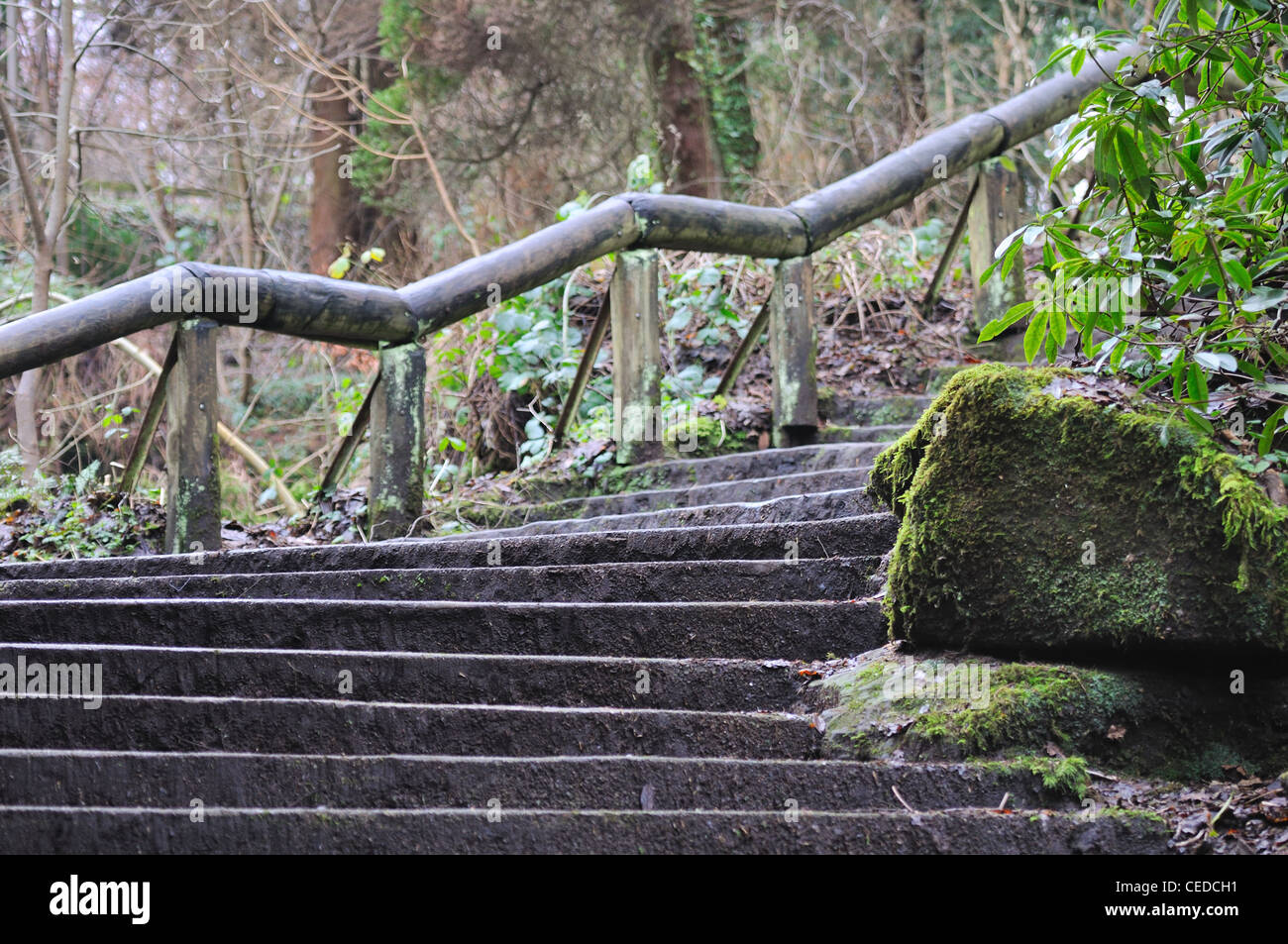 Rustic fence on steep slippery forest stairway in Rouken Glen park, East Renfrewshire, Scotland Stock Photo