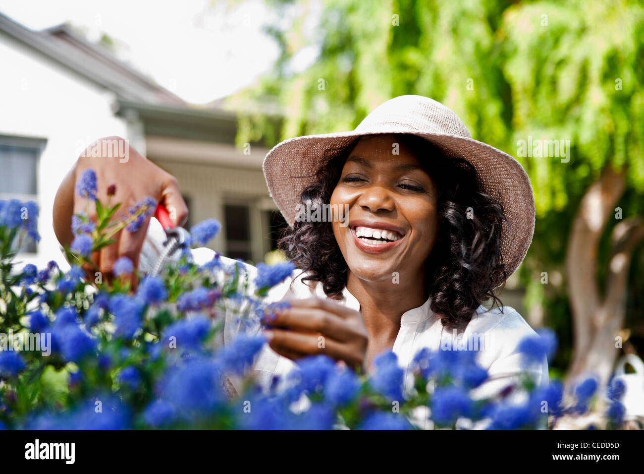 Smiling woman pruning flowers in garden Stock Photo