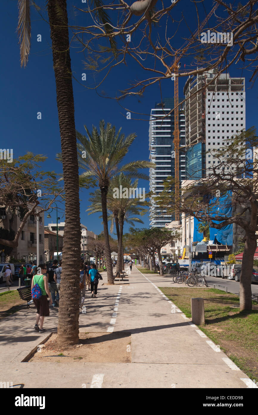 Israel, Tel Aviv, Rothschild Boulevard Stock Photo Alamy Israel, Tel Aviv, Rothschild Boulevard Stock Photo Alamy