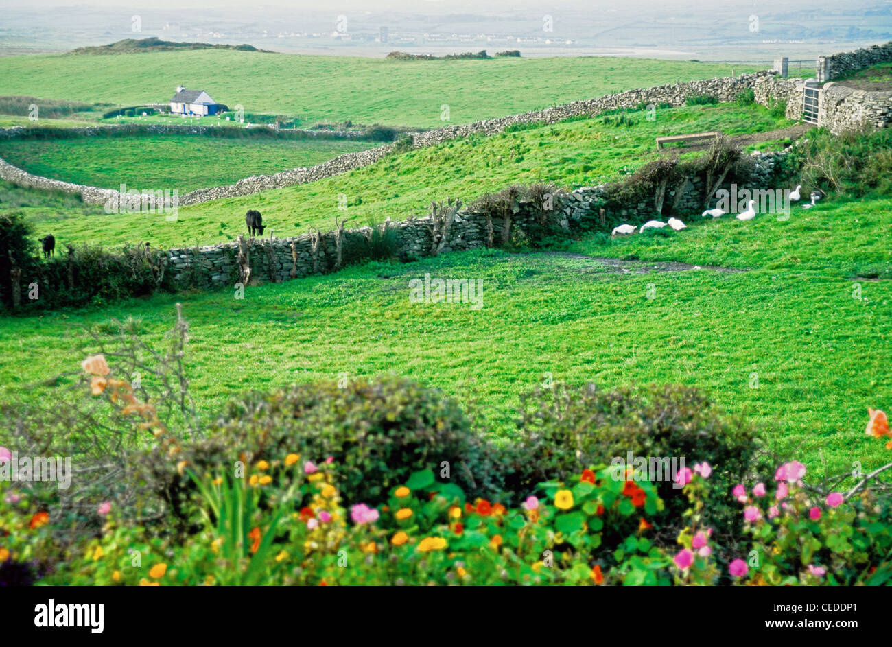 County Clare countryside near Liscannor, Ireland. Stock Photo