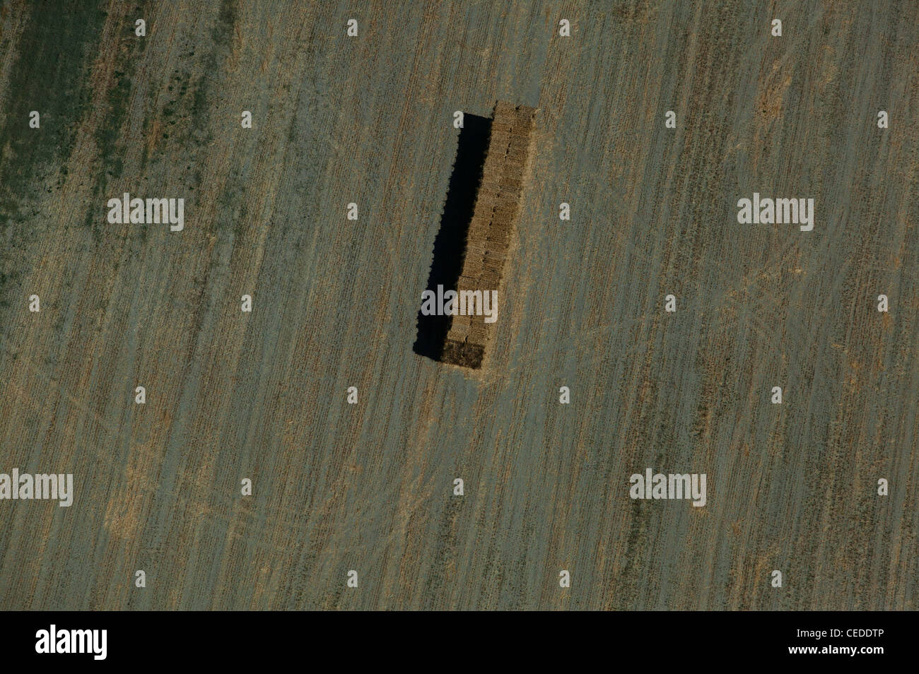 aerial photograph hay harvest Sonoma County, California Stock Photo