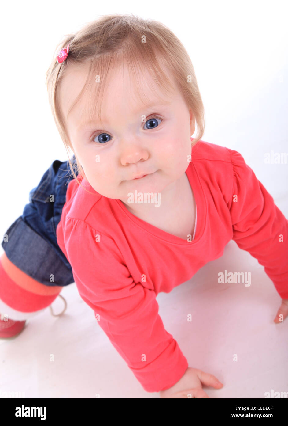 6-month-old-baby-crawling-stock-photo-alamy