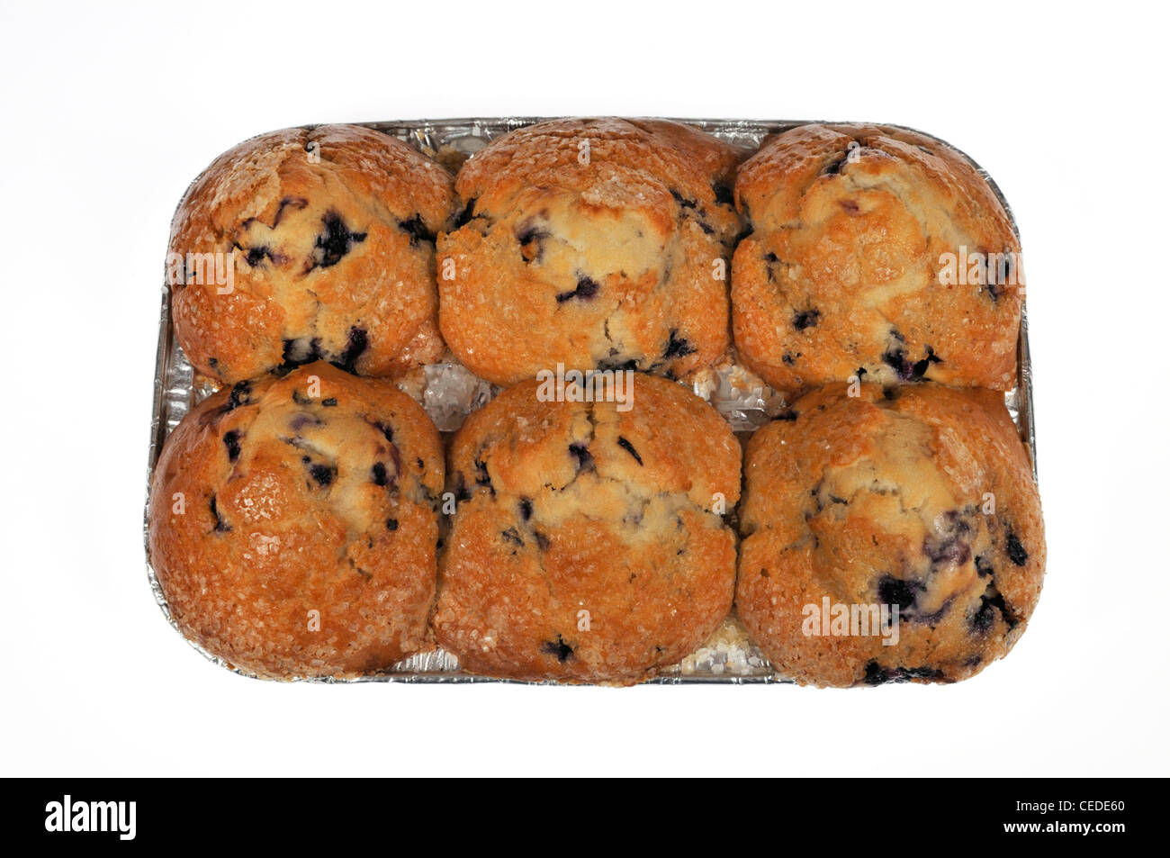 Tin of 6 supermarket fresh baked  blueberry muffins on white background cutout USA Stock Photo
