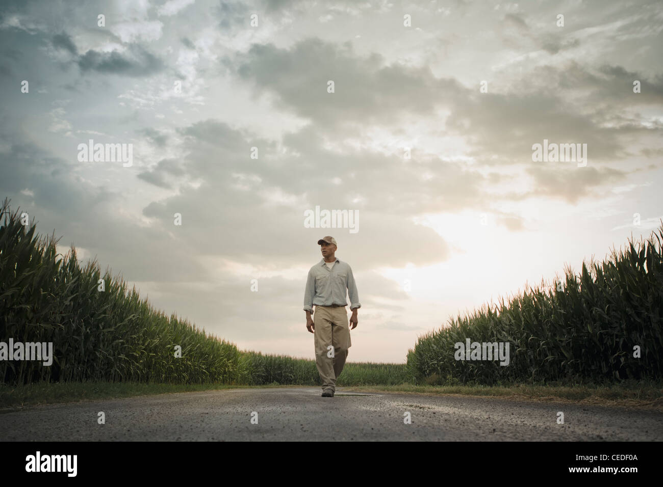 African American farmer walking on road through crops Stock Photo