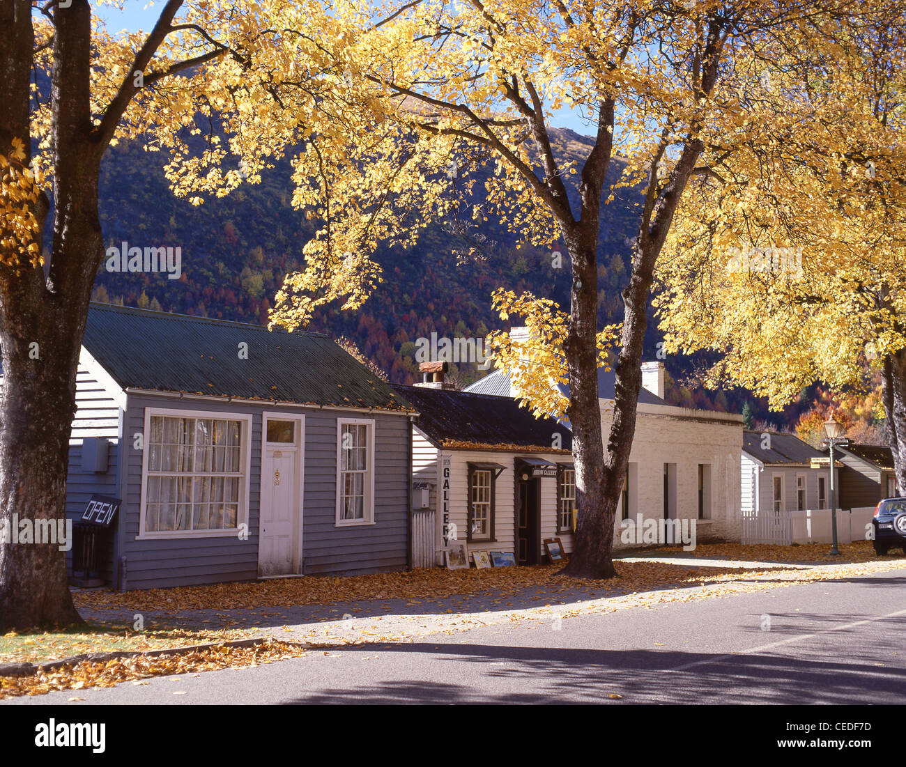 Colonial cottages in autumn colours, Buckingham Street, Arrowtown, Otago Region, South Island, New Zealand Stock Photo