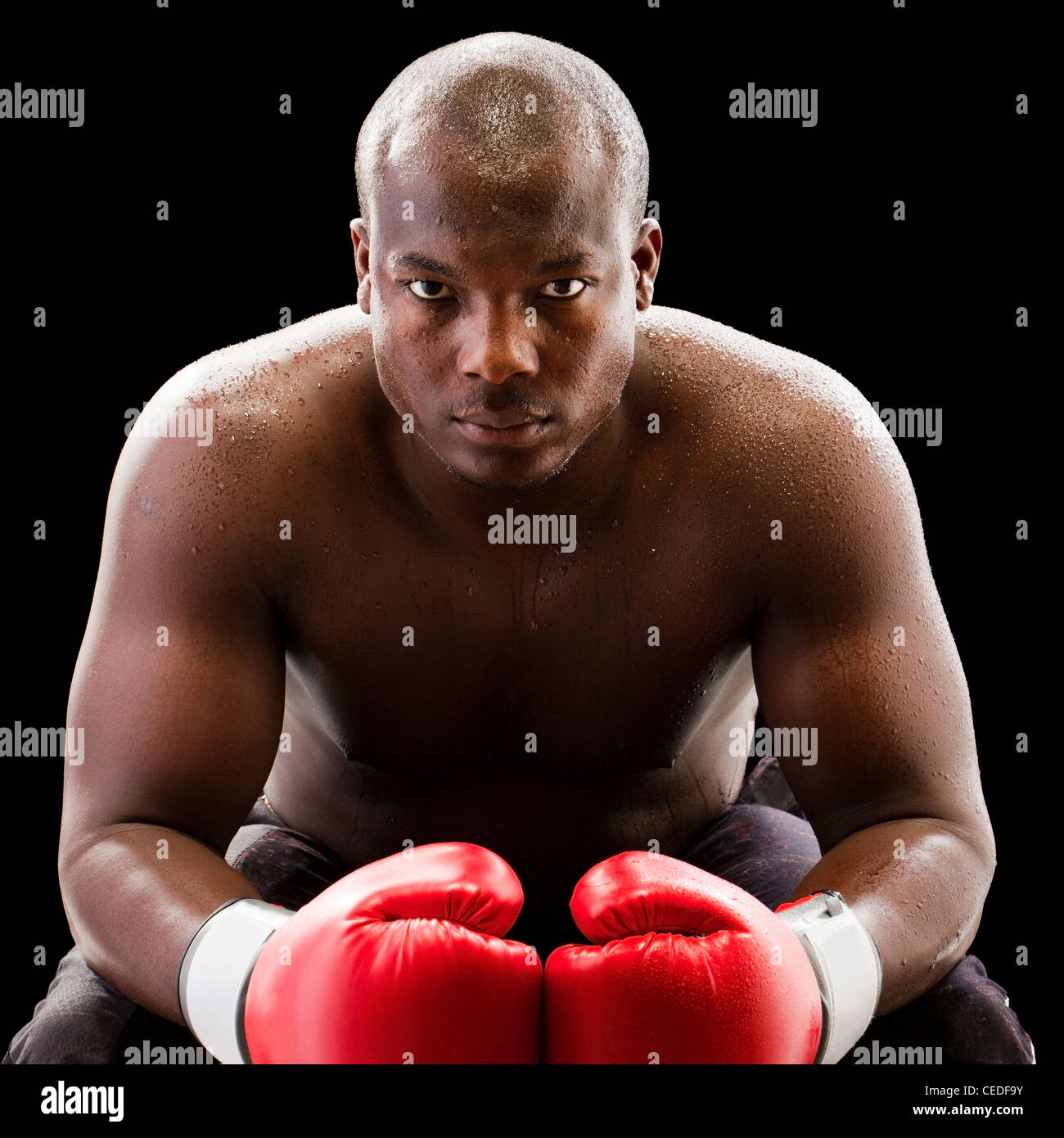 African American boxer wearing boxing gloves Stock Photo Alamy