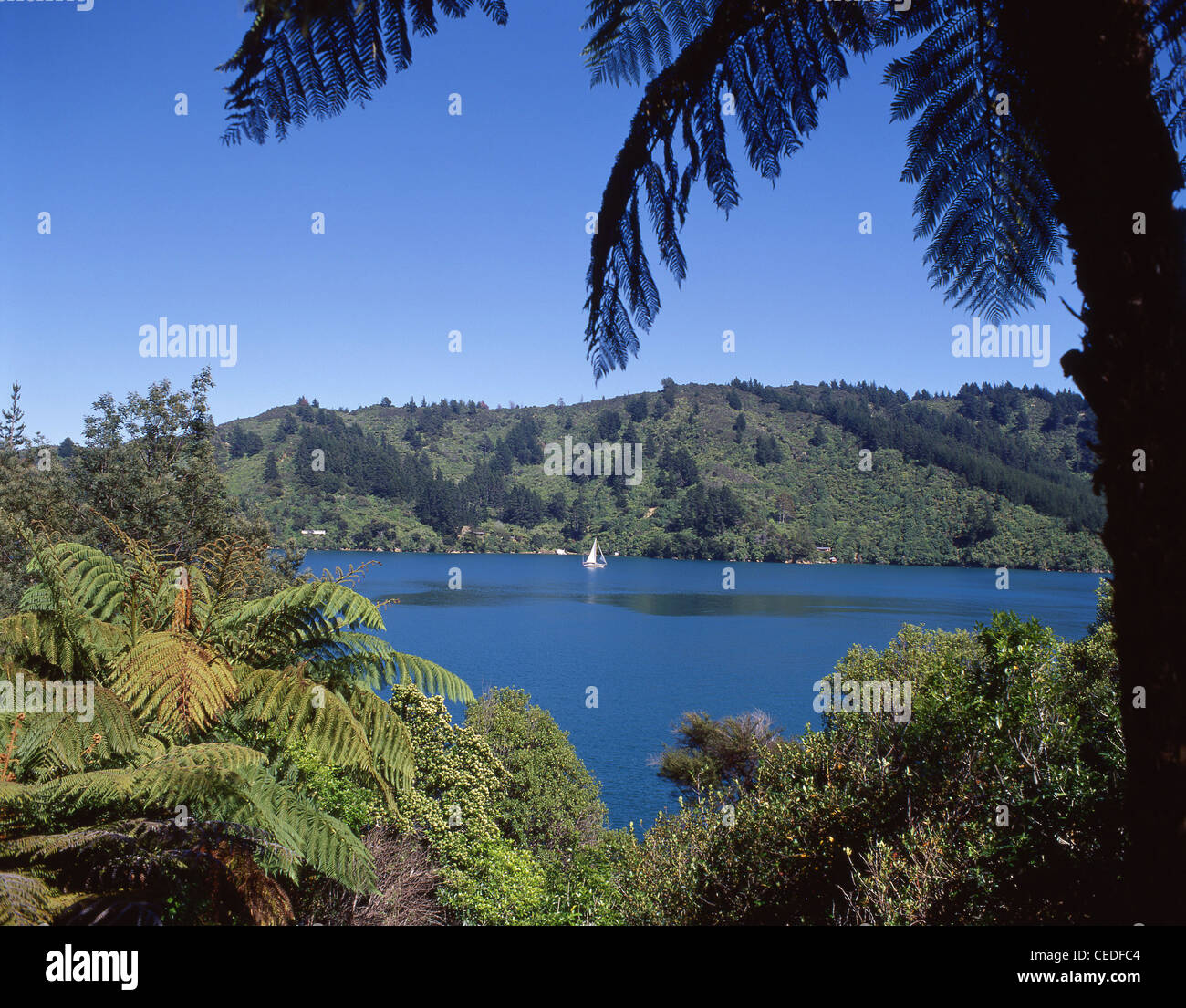 Lochmara Bay, Queen Charlotte Sound, Marlborough Sounds, Marlborough Region, South Island, New Zealand Stock Photo