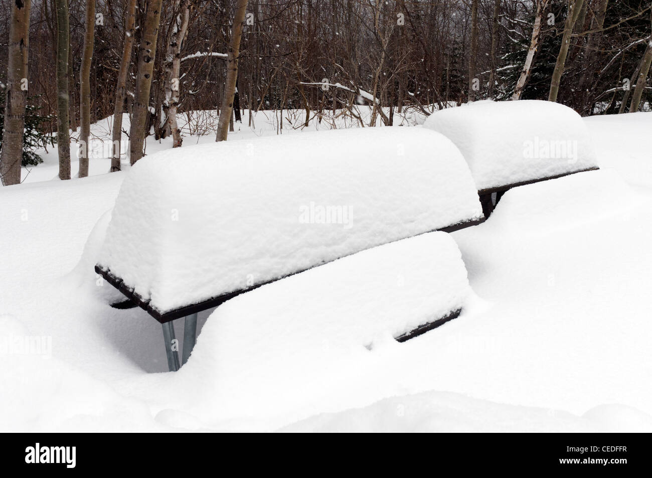 A picnic table covered in snow in Quebec Stock Photo