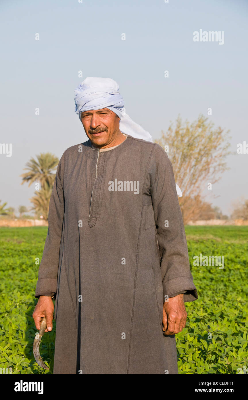 Man wearing a traditional abaya working in fields Minya Egypt Stock Photo