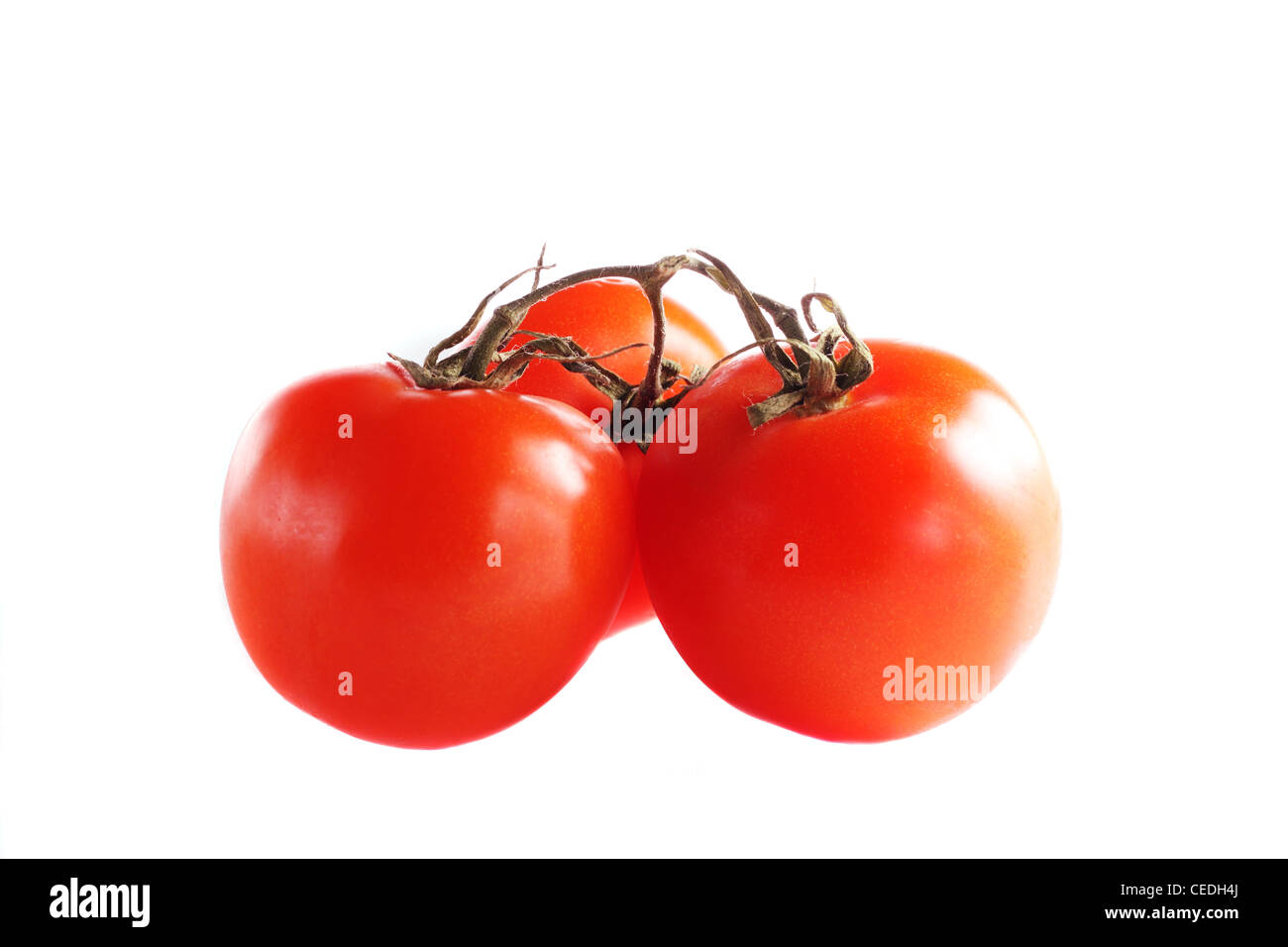 Some ripe tomatoes isolated on the white background Stock Photo - Alamy