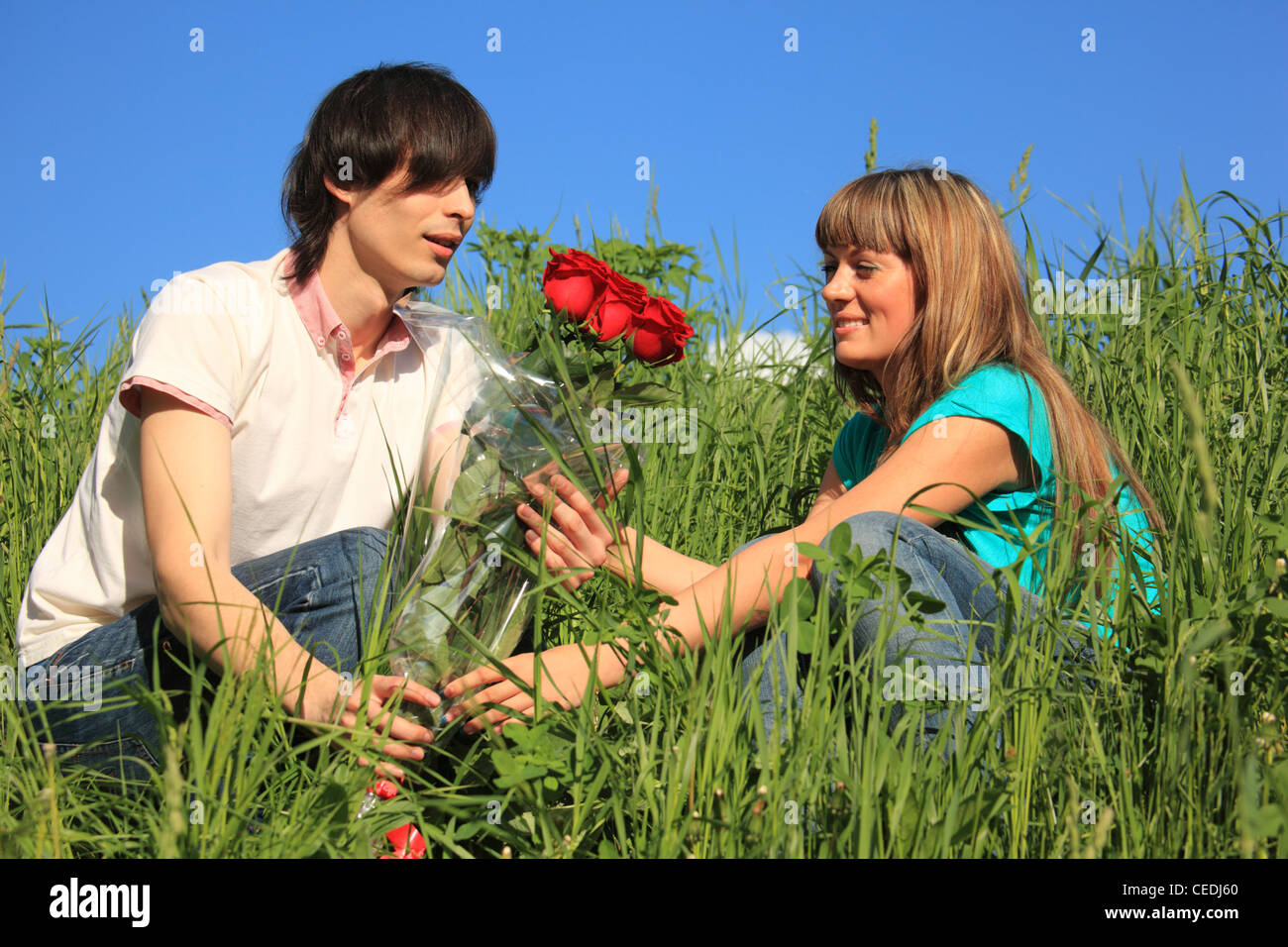 guy gives to girl bouquet of roses among grass Stock Photo