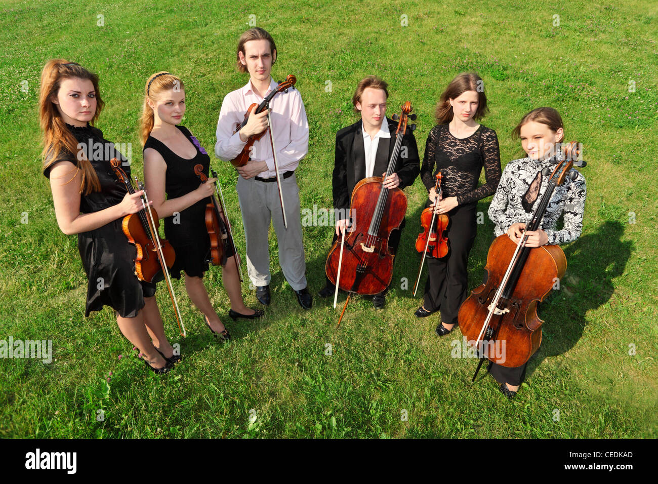 Six violinists stand semicircle on  grass Stock Photo