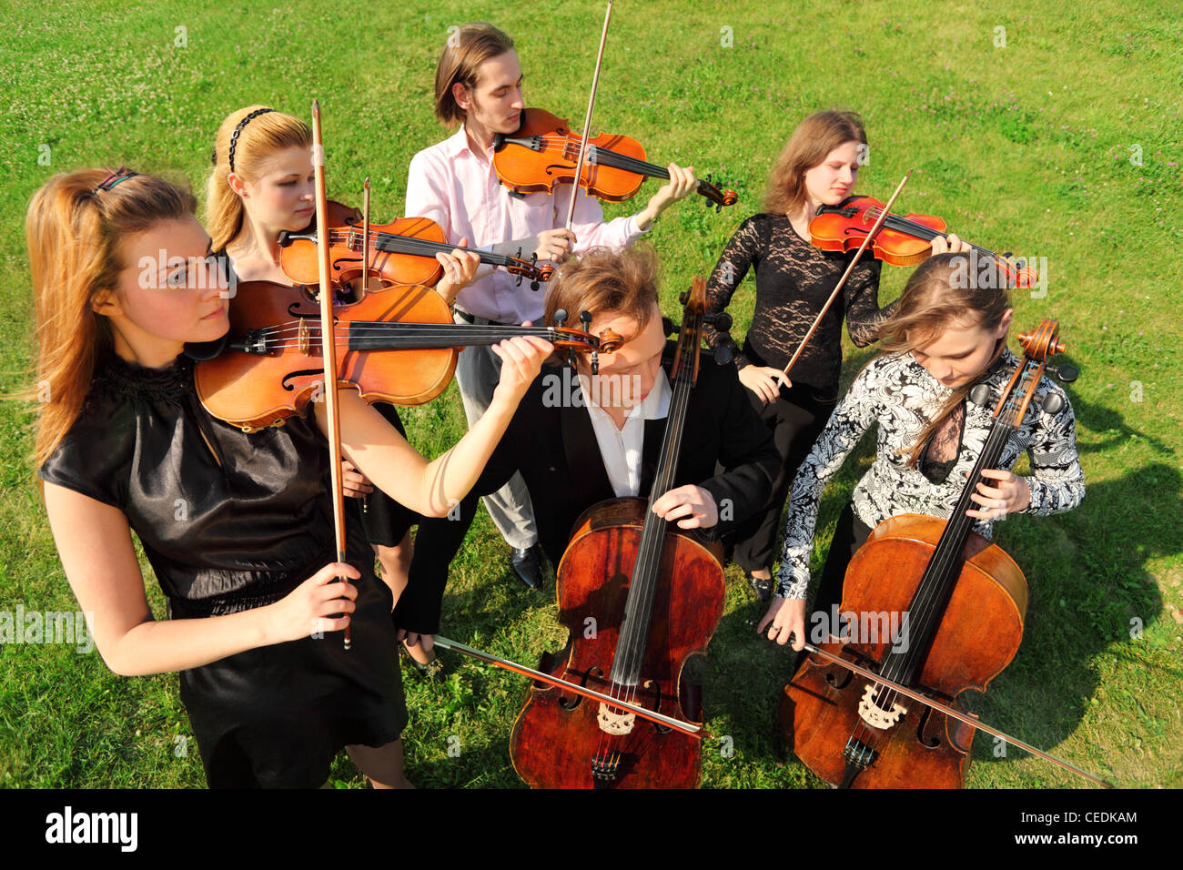 Group of violinists play standing on grass Stock Photo