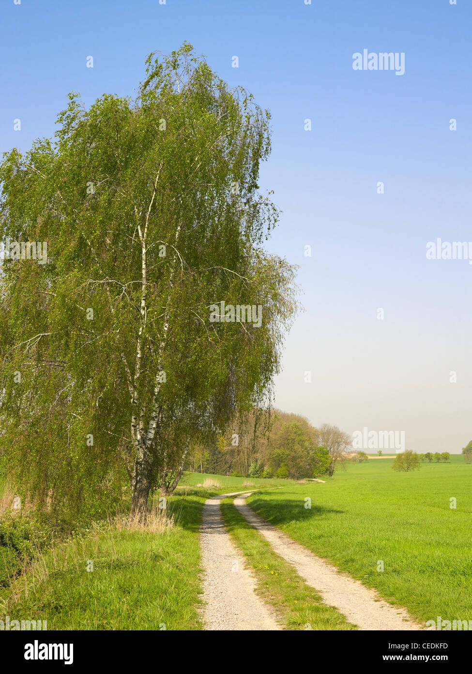 Field acre hi-res stock photography and images - Alamy