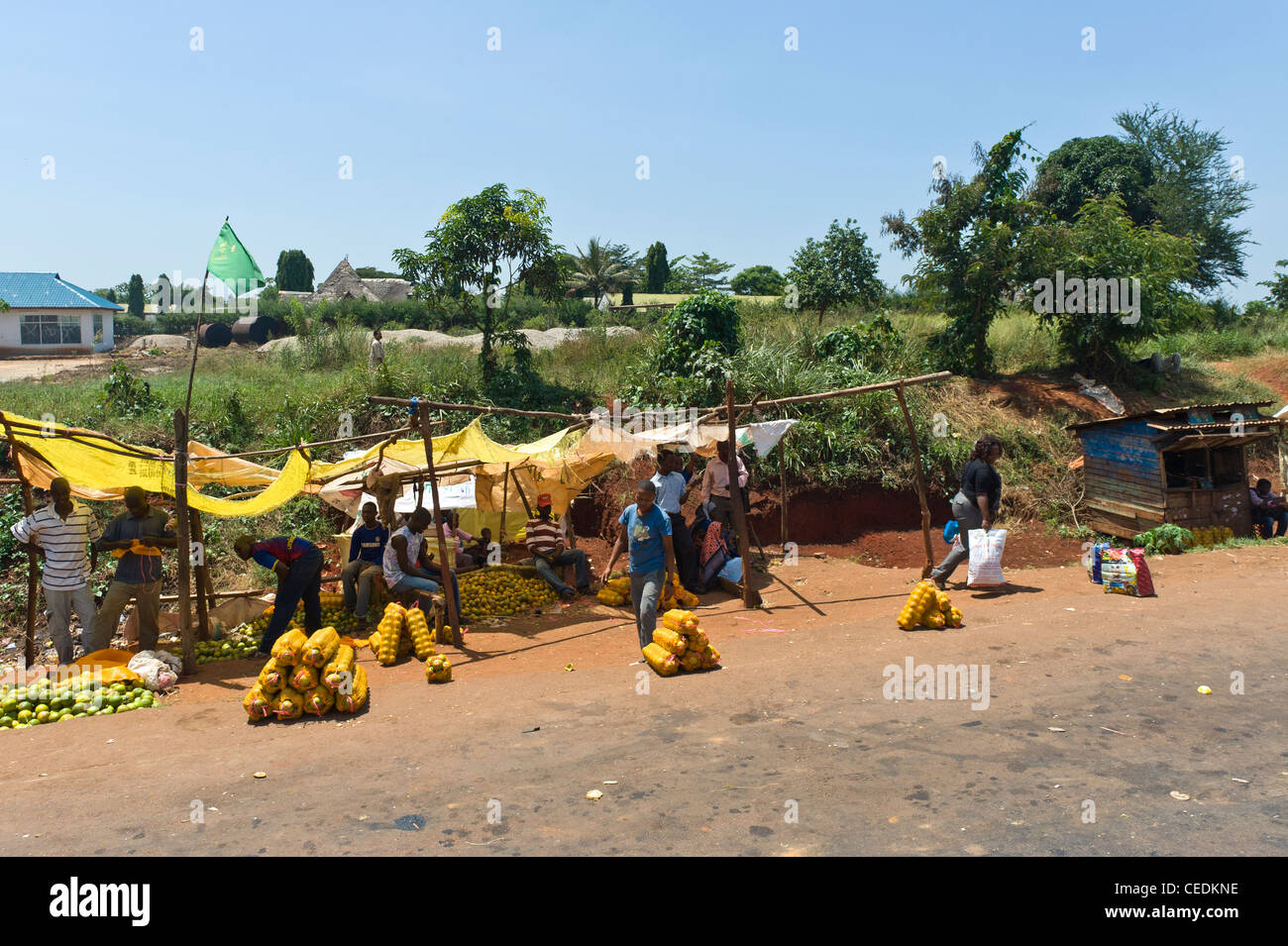 Young men selling oranges along the road in Segera Tanga Region Tanzania Stock Photo