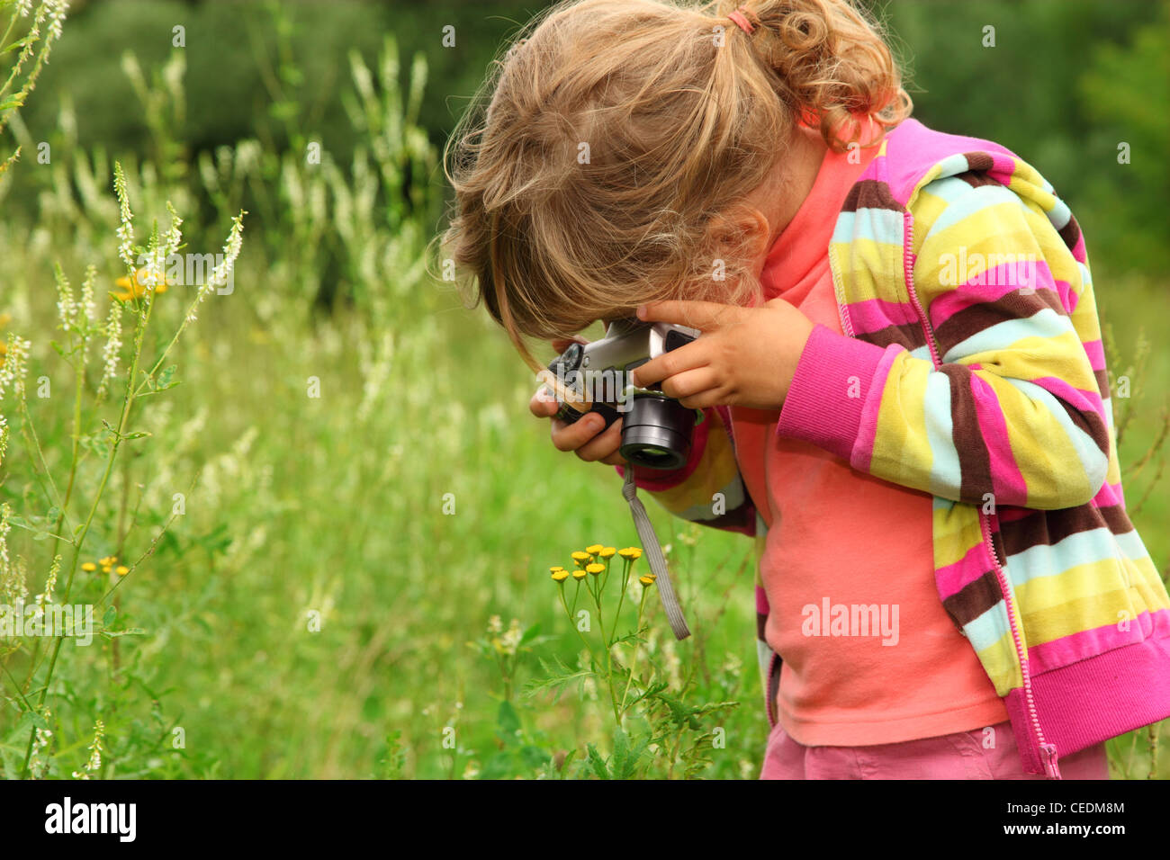 little girl  photographs flower outdoor Stock Photo