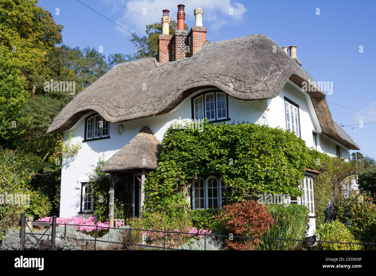 emery down near lyndhurst new forest hampshire england Stock Photo Alamy